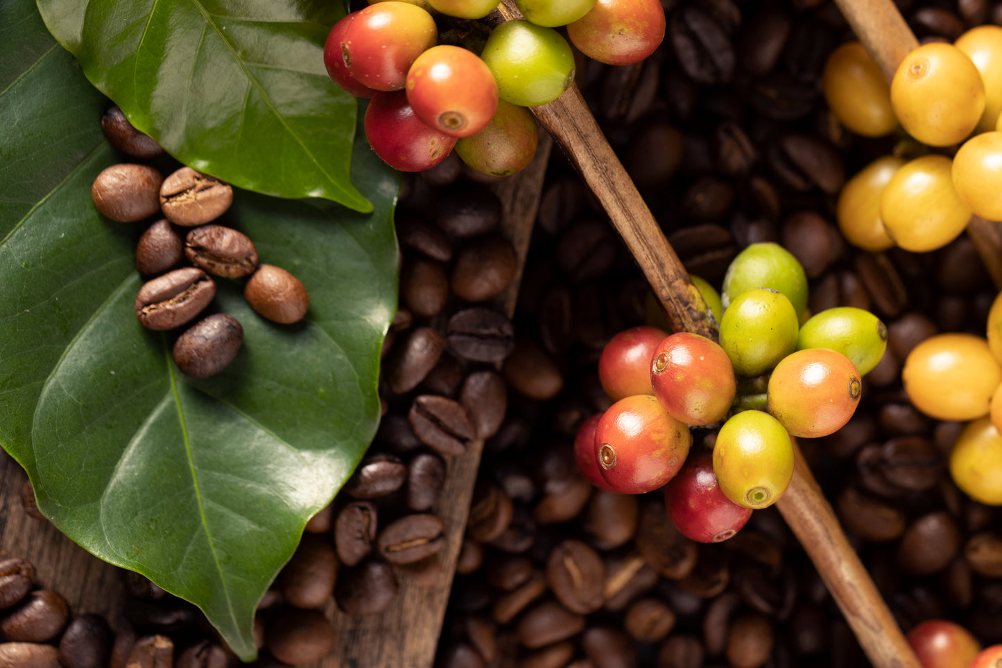 Hete kop Colombia koffie naast een boek, relaxmoment.