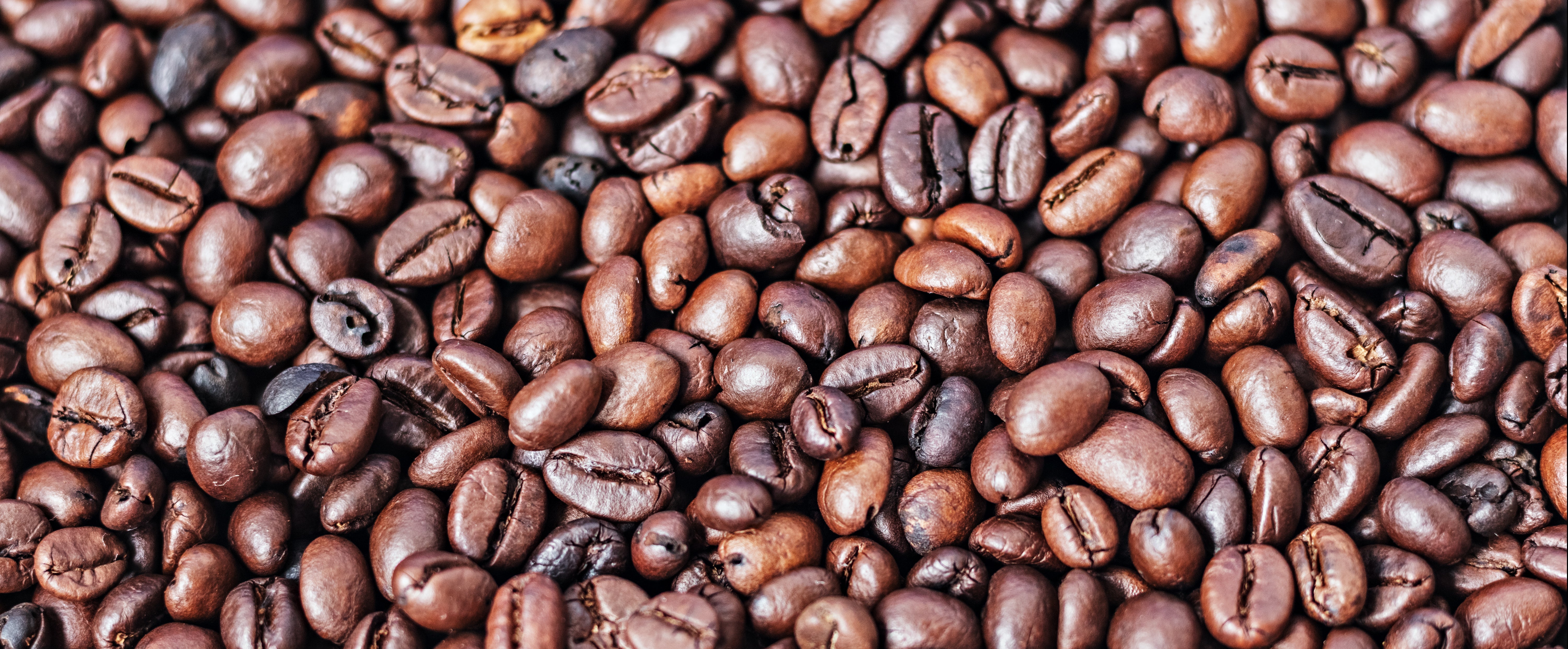 How Our Coffee Philosophy Shows Up in Every Calt Coffee Blend